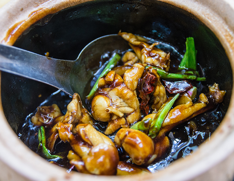 Bull frog simmered in a dry chilli and ginger spring onion sauce at G7 Sinma Claypot Live Frog